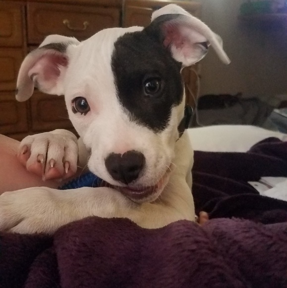 Meet your Posher, Jamie - Picture 1 of 1